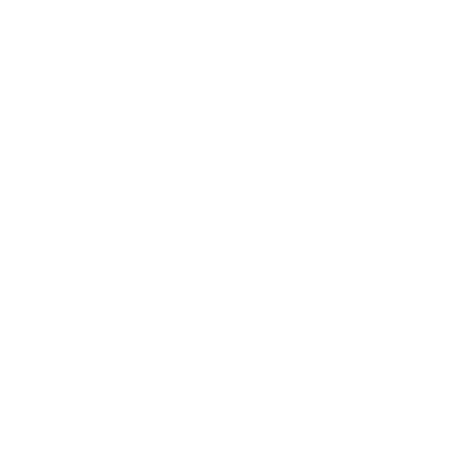 Our Vision